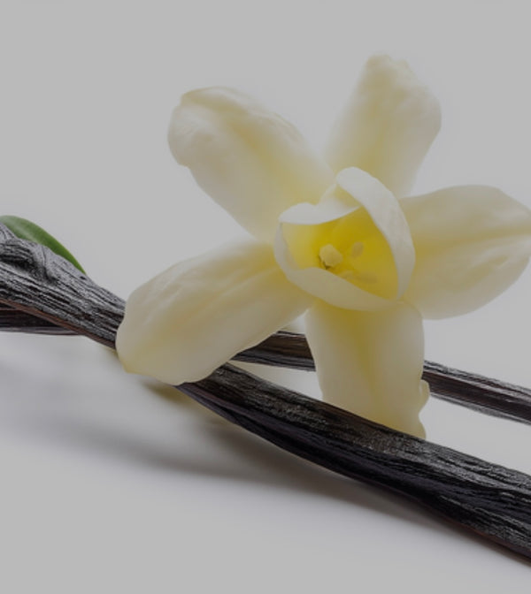 100% pure, CO₂ Extracted Vanilla Oleoresin