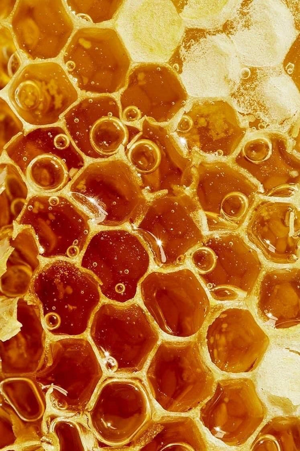 Organic Beeswax