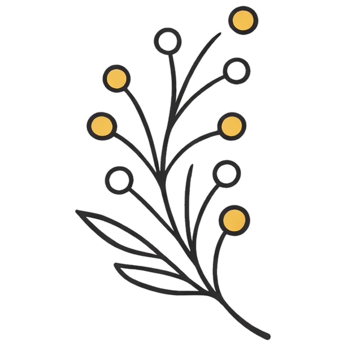 Clean Tallow Skin Care - Natural, High-Quality, & Non-Toxic | Tau Tau