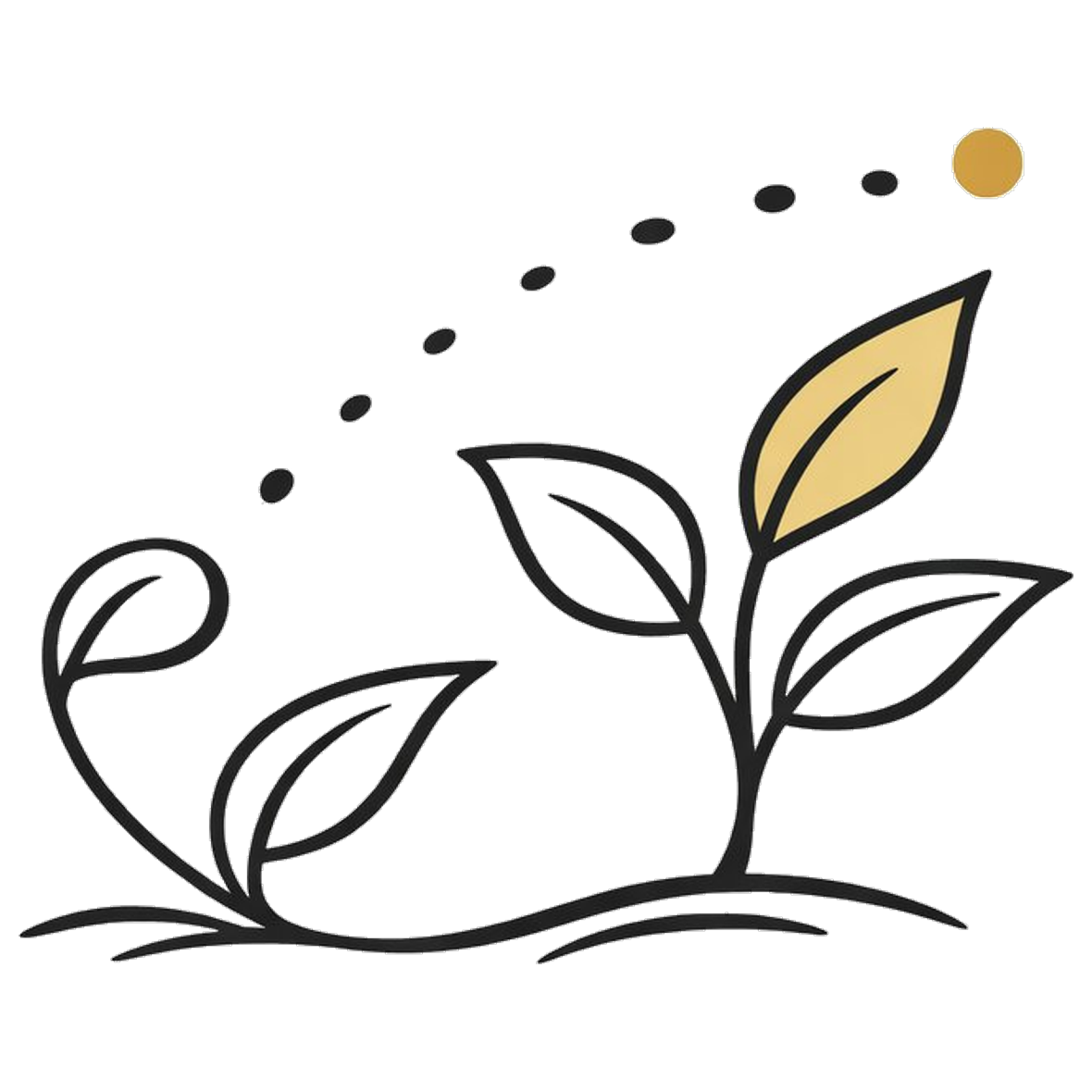 Clean Tallow Skin Care - Natural, High-Quality, & Non-Toxic | Tau Tau