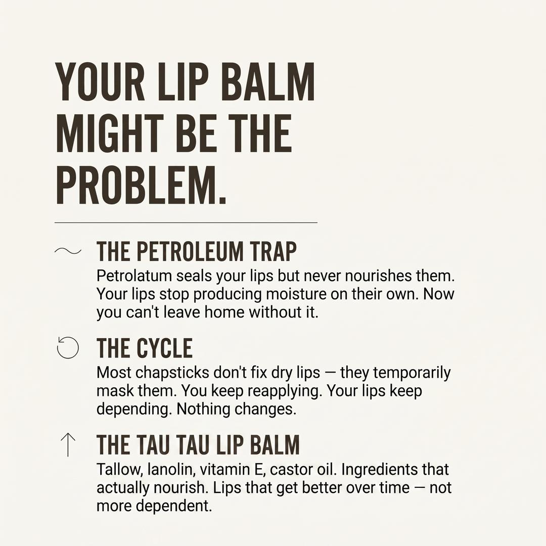 Tau Tau lip balm infographic — tallow, lanolin and vitamin E versus petroleum chapsticks