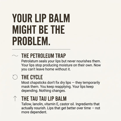 Tau Tau lip balm infographic — tallow, lanolin and vitamin E versus petroleum chapsticks